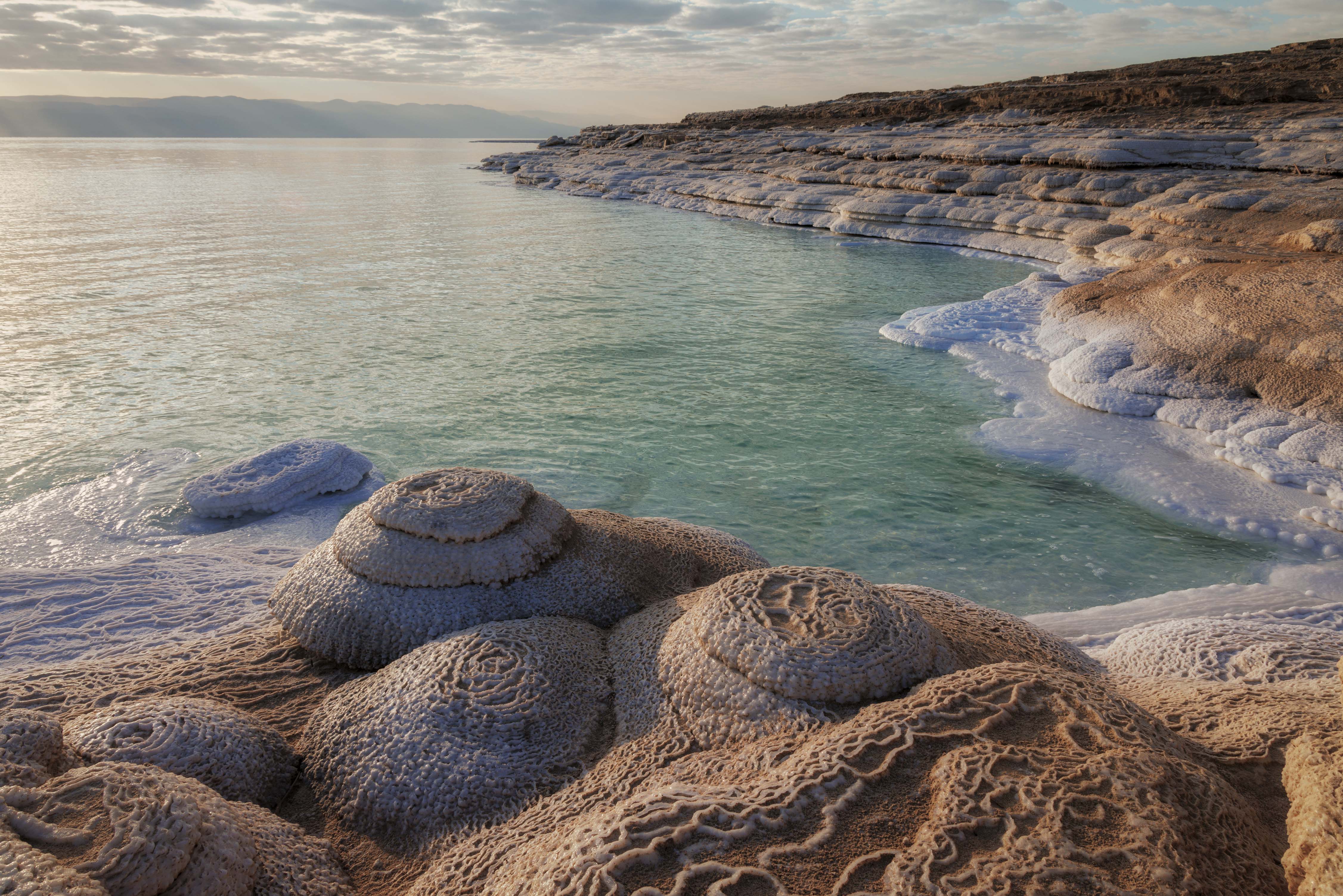 20211225-December 25, 2021-073546-2-073546-Edit.jpg